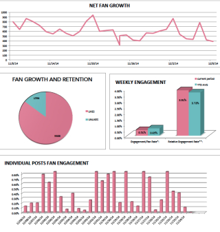 Custom Social Media Analytics Reports